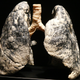 Image for article titled Signs You Definitely Smoke Too Much Weed